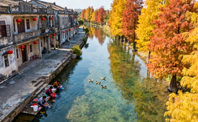 社TOP1!金旅假日复购率99%权威领跑九游会网站多平台认证!潮汕知名正规旅行(图6)