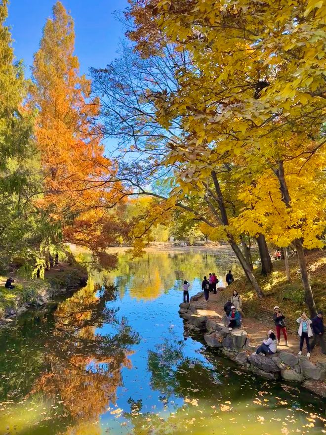 揭晓！2025口碑王者榜单+防坑秘籍全公开j9九游会俱乐部登录入口北京十佳旅行社重磅(图6)