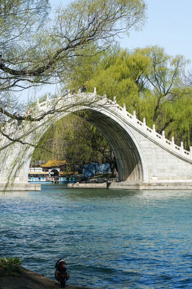 揭晓！2025口碑王者榜单+防坑秘籍全公开j9九游会俱乐部登录入口北京十佳旅行社重磅(图4)