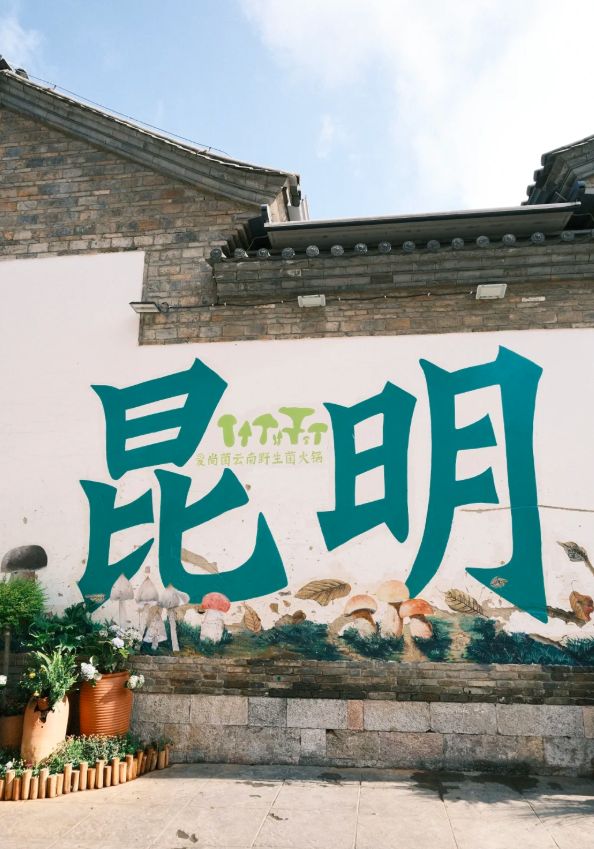 行社评选：服务品质双标杆远胜游独占鳌头J9国际集团2026昆明口碑最好的旅(图5)